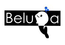 Beluga Global Visa